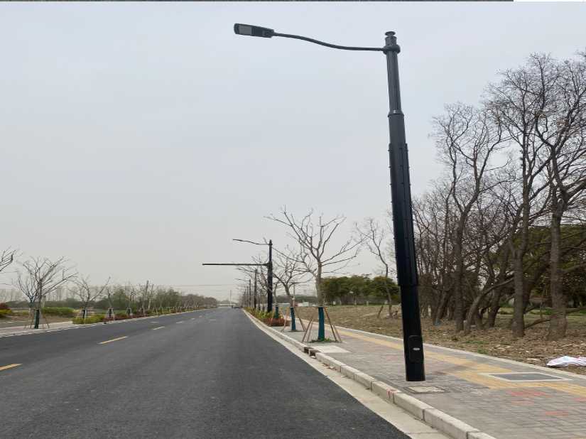 青山湖区上海综合杆 太阳能路灯工程